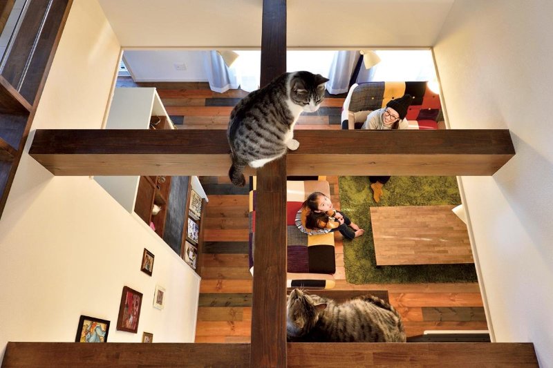 こだわりのインテリアとアンティーク 風のデザイン 愛猫が楽しく暮らす家 Hobby Style 角屋工業 Iecocoro